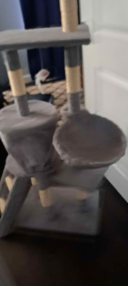 Photo of free Cat tree (Slade Green DA8) #2
