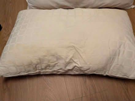 Photo of free 2 pillows John Lewis anti allergy (Cheadle SK8) #2