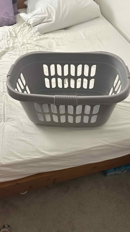 Photo of free Laundry Basket #2 (RM19) #2