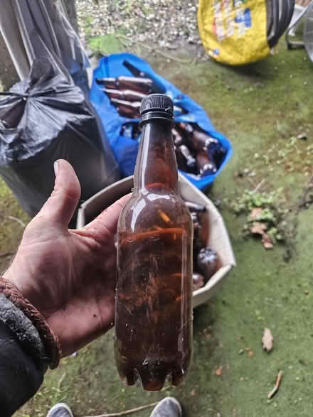 Photo of free Brown plastic home brew bottles (Henwick) #2