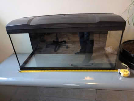Photo of free 80l Aquarium (Bear Flat, Bath BA24) #1