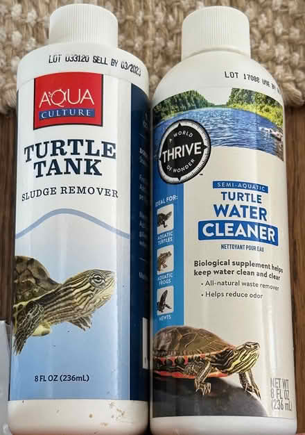Photo of free Turtle Food & Cleaner (Port Murray, NJ) #2