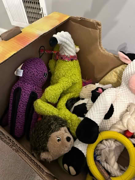 Photo of free Dog toys, mostly stuffed animals (Long Grove) #3
