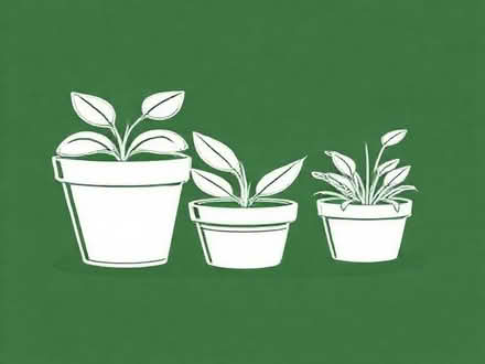 Photo of free Plastic Plant Pots (Brampton S40) #2