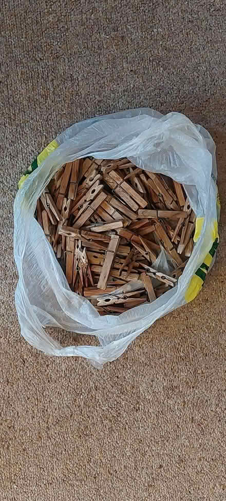 Photo of free Wooden clothes pegs (St Werburgh's) #1