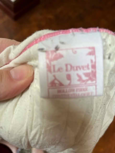 Photo of free Single duvet (SK4 Heaton moor) #2
