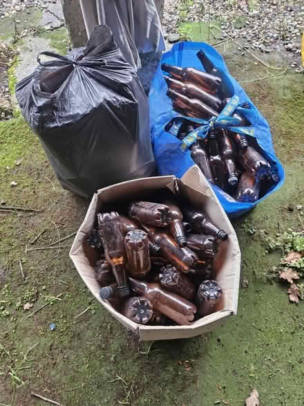 Photo of free Brown plastic home brew bottles (Henwick) #1