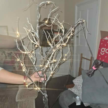 Photo of free 4FT Tree Light (TW7) #3