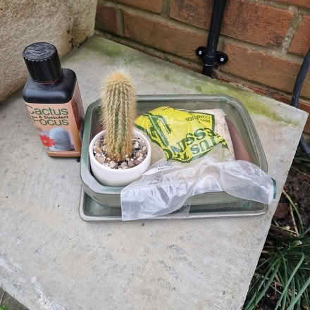 Photo of free Cactus growing kit (Broadbridge Heath, RH12) #1