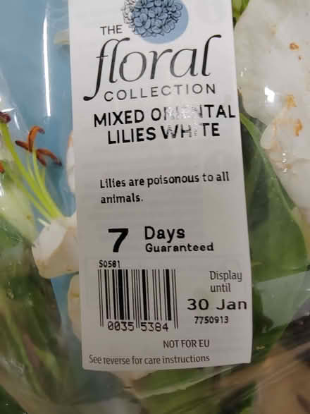 Photo of free Kale, flowers and bread - lots (Loughton IG10) #4