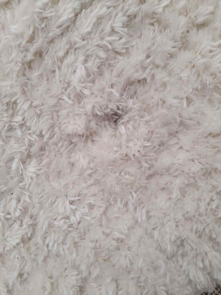 Photo of free Ivory Rug (CT15) #1
