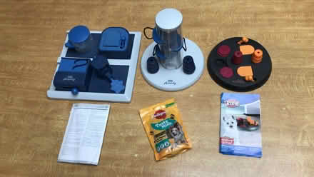 Photo of free Interactive dog games (New Malden, KT3) #1