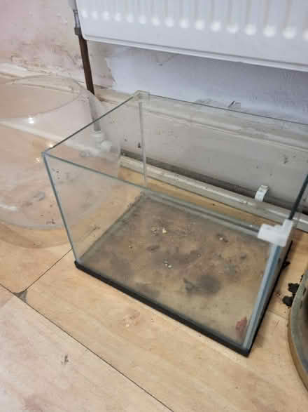 Photo of free Small tanks (Westcliff on sea SS0) #4