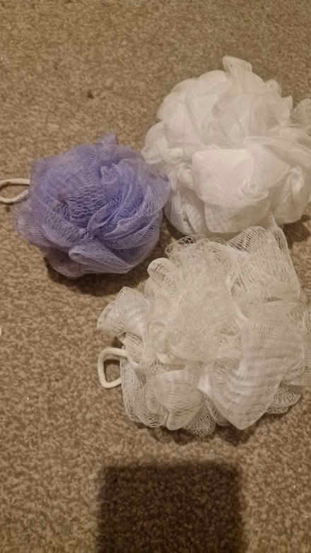 Photo of free Loofahs (Kirk Hallam DE7) #1