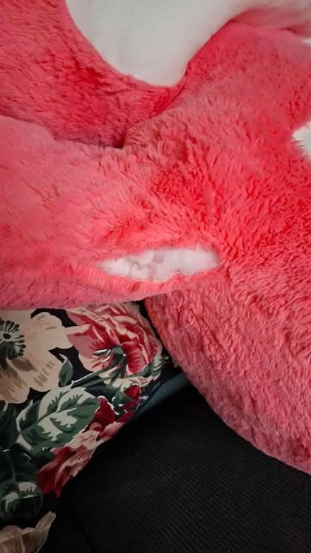 Photo of free Massive pink teddy (SE6) #2