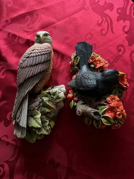 Photo of free Bird wall decor (Blackrock) #1