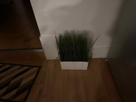 Photo of free IKEA Artificial potted plant (Borehamwood, WD6) #1