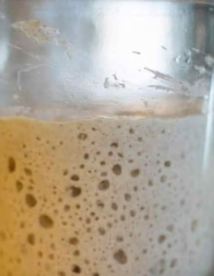 Photo of Sourdough starter (W4) #1