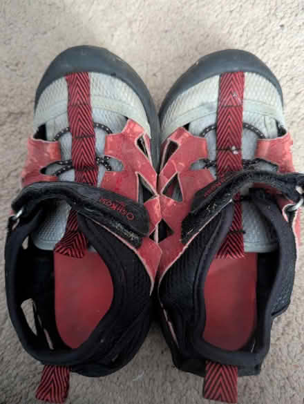 Photo of free Size 11 strappy shoes (Leedom, Ridley park) #1