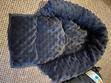 Photo of free Newborn car insert (Cannonmills EH7) #1