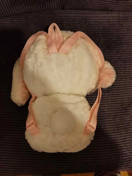 Photo of free Plush rabbit backpack (Milton Ernest) #2