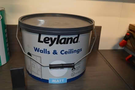 Photo of free paint (wyberton) #2