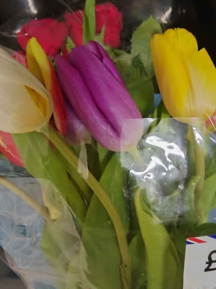 Photo of free Kale, flowers and bread - lots (Loughton IG10) #2