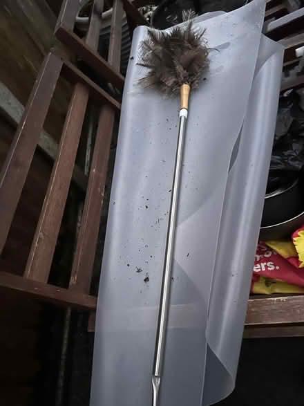 Photo of free Feather duster (Borehamwood, WD6) #1