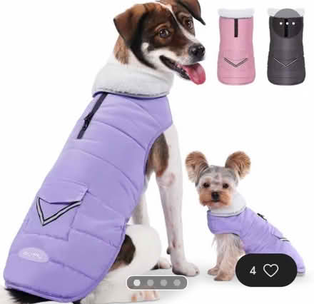 Photo of free Dog coat- iBuddy size L - lavender (Silver Spring 4-Corners area) #1