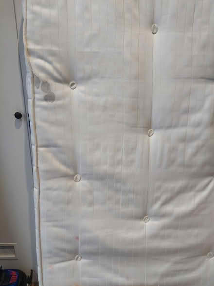 Photo of free Single Mattress (SW16) #2
