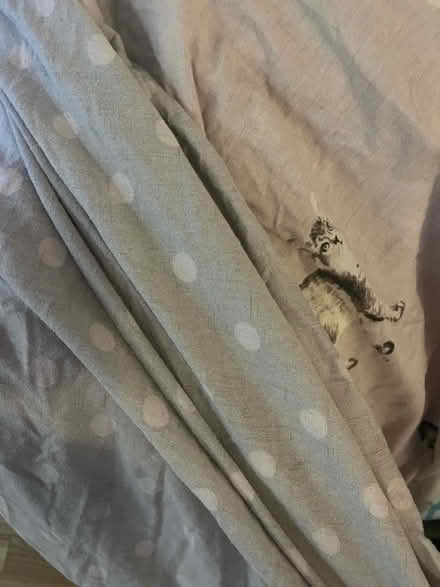 Photo of free cat themed double duvet cover (SK1, central stockport) #2