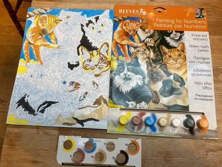 Photo of free Paint By Numbers, 2 Kits Started (CT5) #3