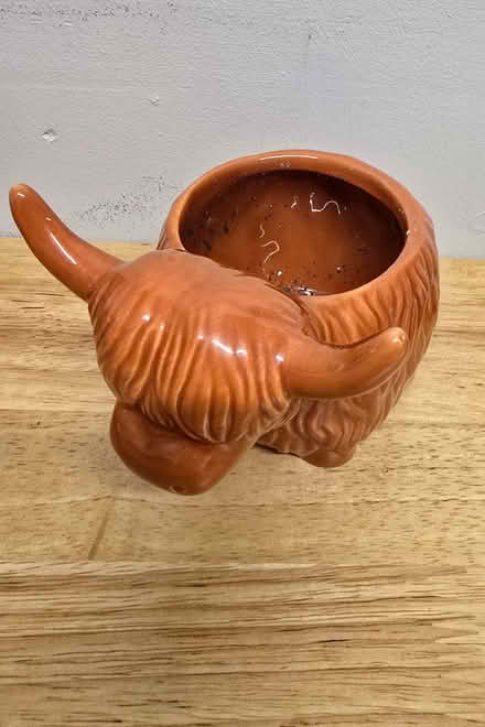 Photo of free Small cow plant pot (Bowbridge GL5) #2