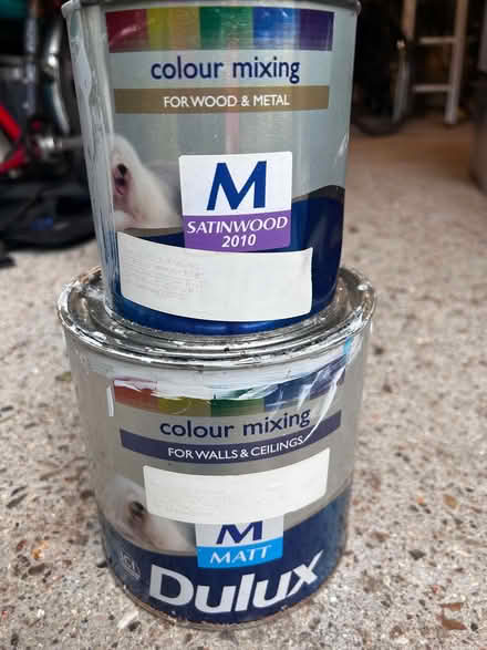 Photo of free Interior pale grey paint (Sydenham SE26) #1