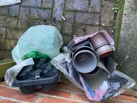 Photo of free Plant Pots and Trays (St Leonards Green TN38) #1