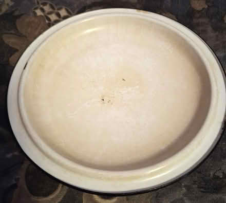 Photo of free Enamel on metal pot lid (Cambridgeport, near Dana Park) #2