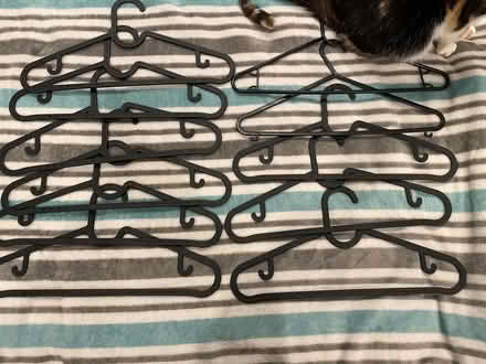 Photo of free Collection of hangers (Ballyfermot) #3