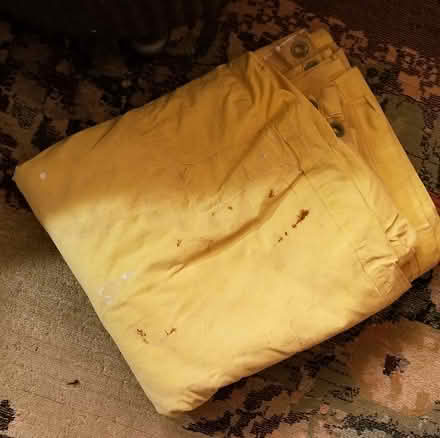 Photo of free Large canvas tarp w/grommets (general Lynnwood and east side) #2