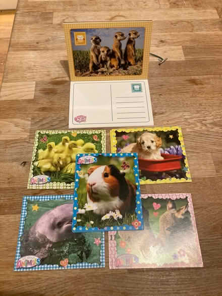 Photo of free Childrens animal postcards (CT5) #1