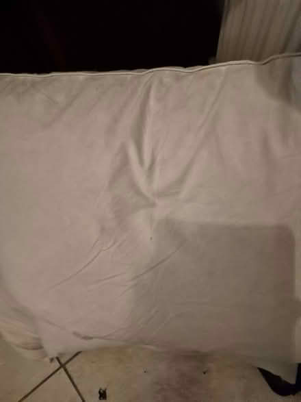 Photo of free 5 feather & down pillows (N17 the roundway) #1