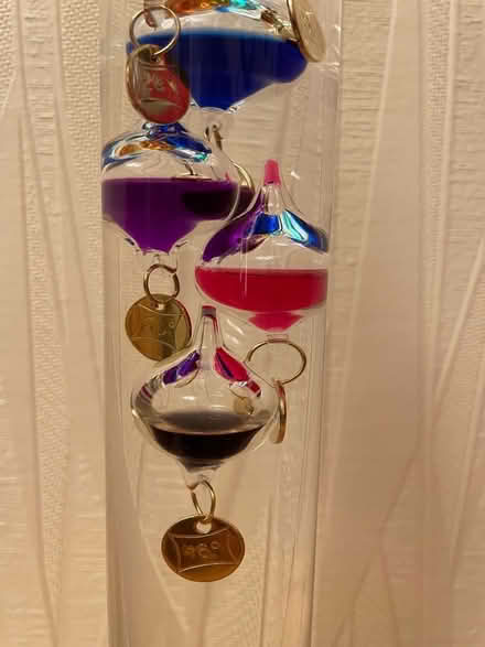 Photo of free Galileo thermometer (Fernhill BL9) #2