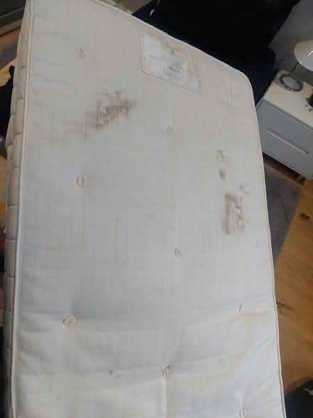 Photo of free Single Mattress (SW16) #3