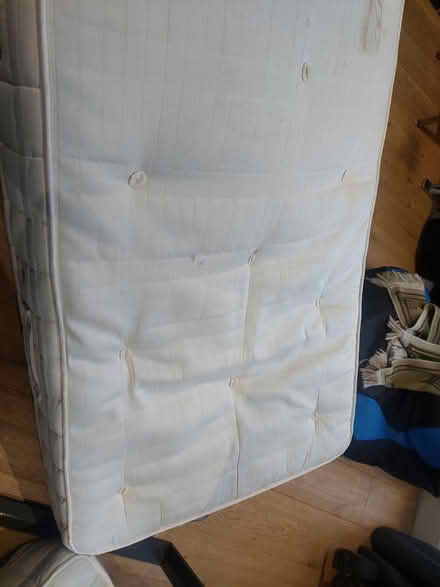 Photo of free Single Mattress (SW16) #4