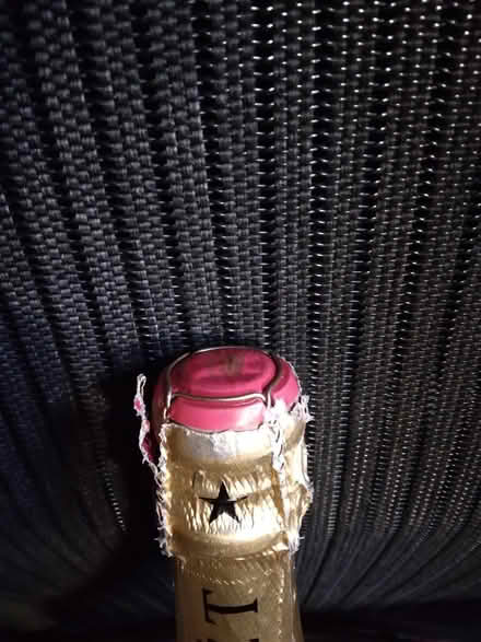 Photo of free Champagne (south yardley B25) #1