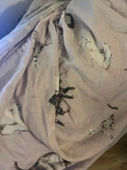 Photo of free cat themed double duvet cover (SK1, central stockport) #1