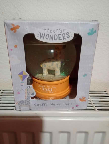 Photo of free Giraffe water dome (Adderley) #1