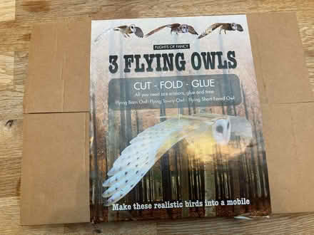 Photo of free Craft kit - Flying owls (1 started; 2 unstarted) (CT5) #1