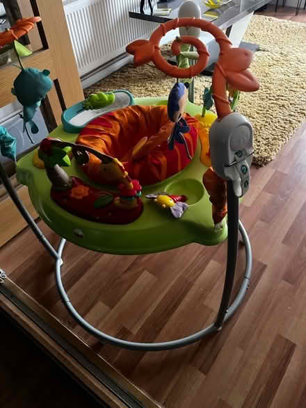 Photo of free Jumperoo (Winyates Green B98) #2