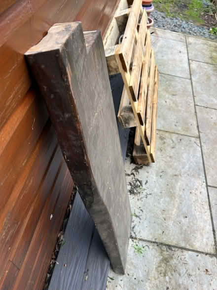 Photo of free Live edge piece of thick oak wood (Chaddesden DE21) #1