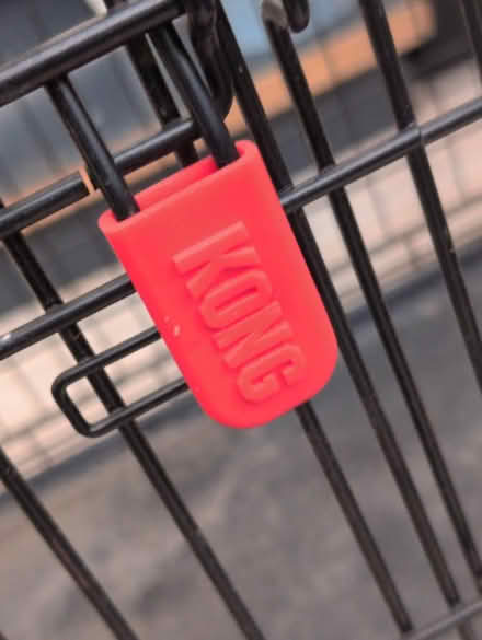 Photo of free Kong dog crate (Bear Flat, Bath BA24) #2